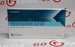 Horizon Testozon E250 prosrok Horizon Testozon E250 prosrok
